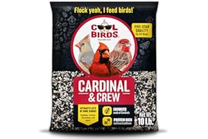 Cool Birds Cardinal & Crew Wild Bird Seed – 10 lb. Black Oil Sunflower, Sunflower Hearts & Safflower Blend for Cardinals, Grosbeaks & Chickadees – Bird Food for Outside Feeders