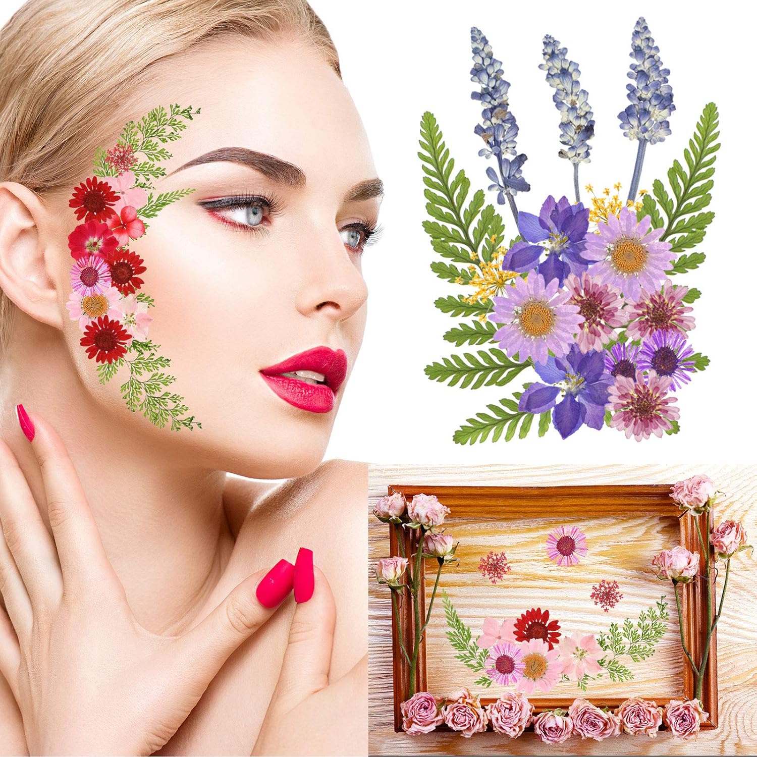 Real Dried Pressed Flowers Leaves Natural Pressed Chrysanthemum Daisy Flowers with Tweezers for Scrapbooking DIY Candle Decoration Resin Jewelry Crafts Making
