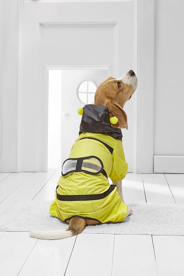 raincoat for beagle