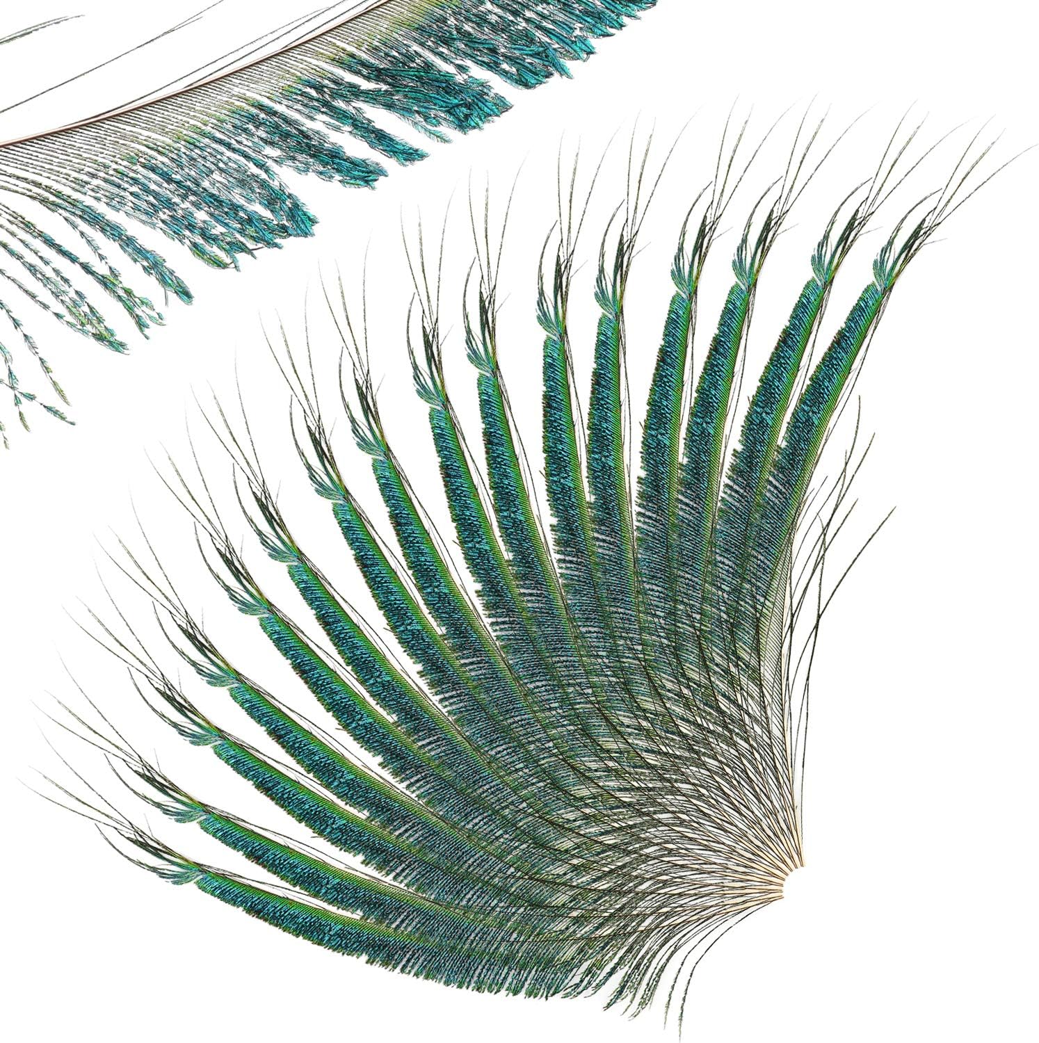 Mwoot 30pcs Natural Peacock Sword Feathers for DIY Craft,Costume,Wedding Holiday Party Decoration 10-14inch (25-35CM) - Image 3