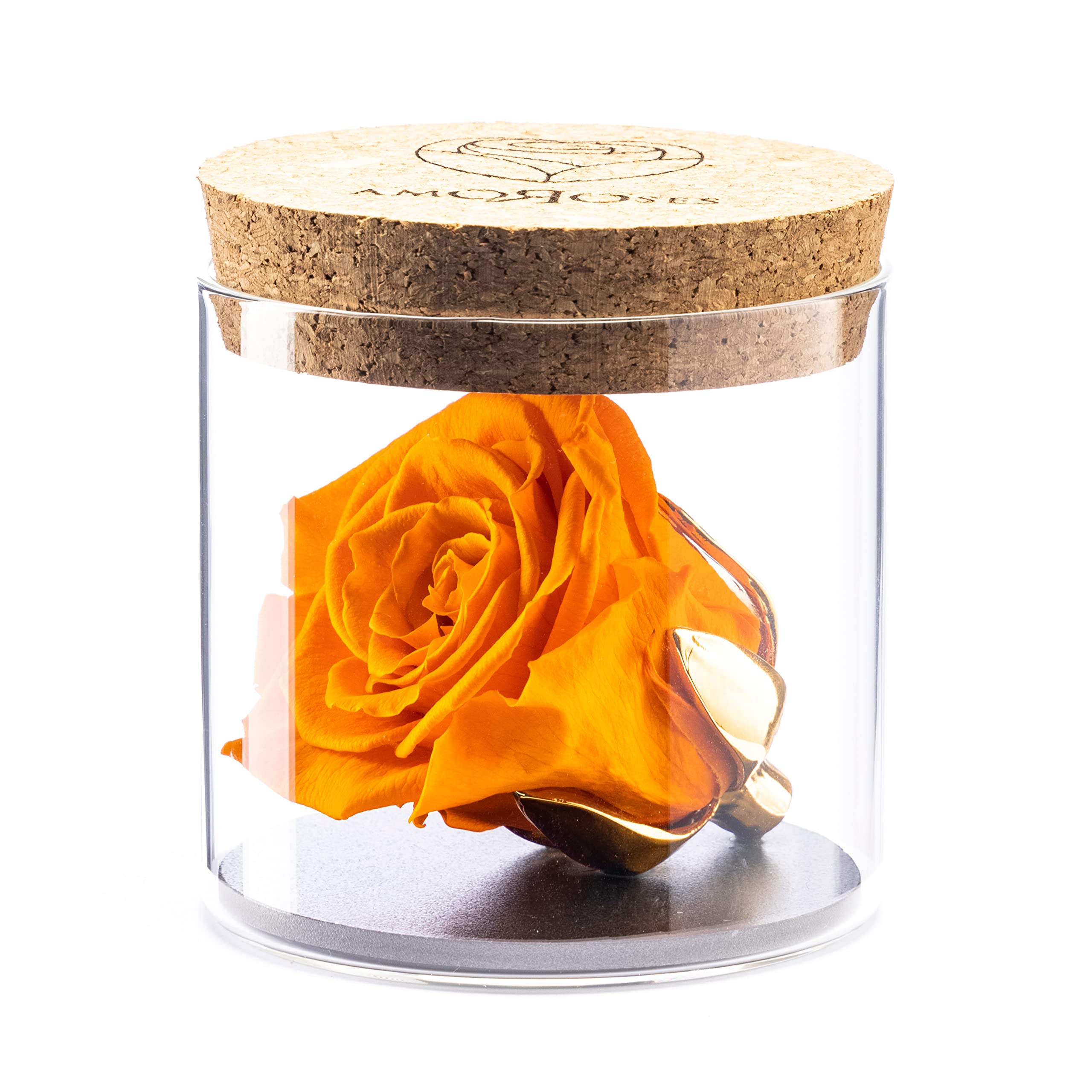 Amoroses Bijou - Eternal Stabilised Rose with 24K Gold Plated Calyx in Glass Jar | Gift Idea (Orange Rose)