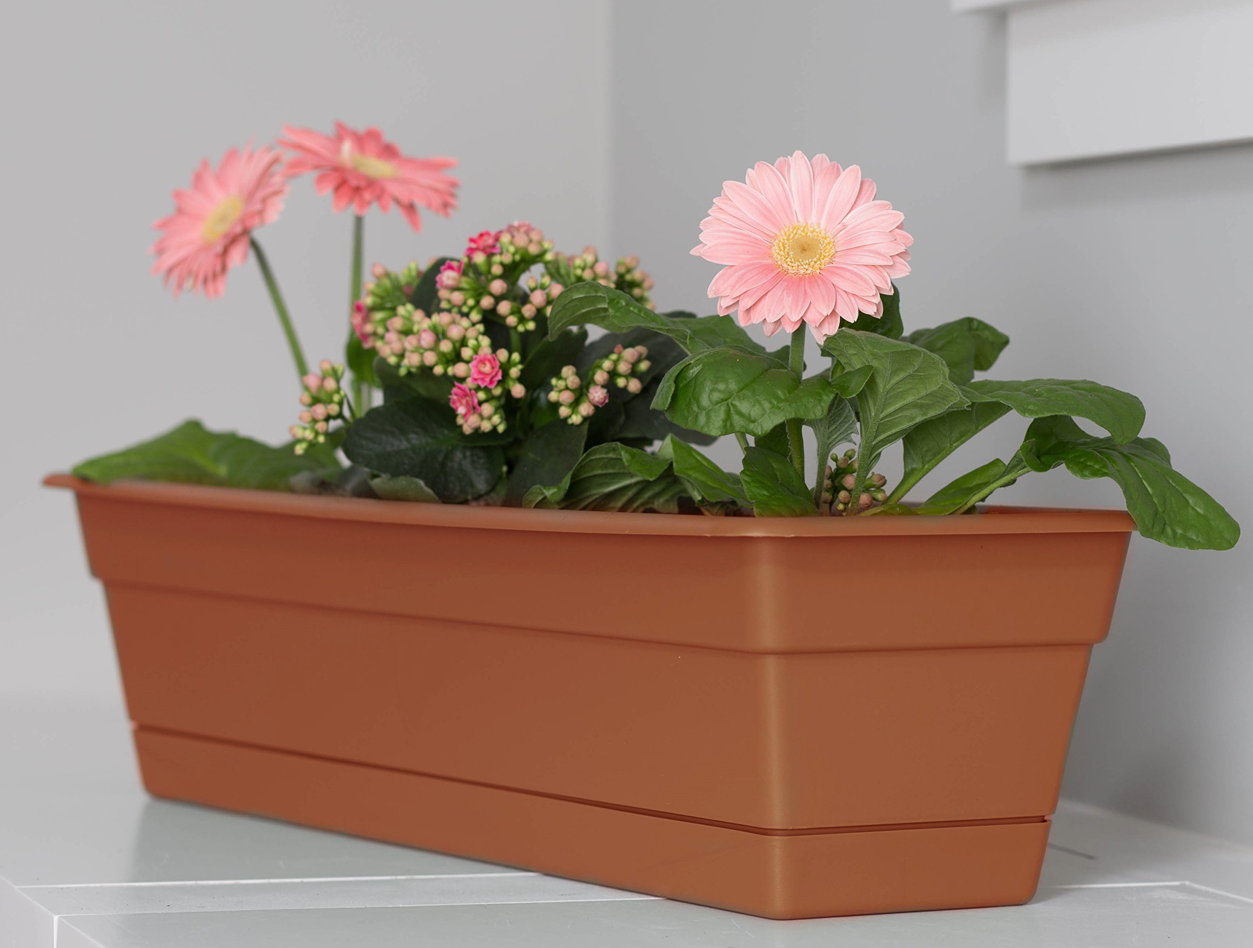 Bloem Dura Cotta Window Box Planter w/Tray, 30", Chocolate (DCBT30-45)