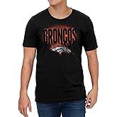 FOCO NFL Team Logo Floodlight Short Sleeve T-Shirt