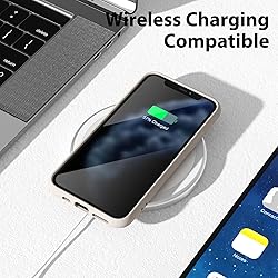 oakxco for iPhone 11 Pro Phone Case Liquid