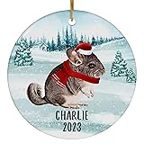 Santa Hat and Scarf Welcome Winter Chinchilla