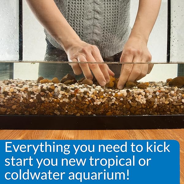 API PERFECT START COMPLETE AQUARIUM START UP PROGRAM ADDITIVE, 1 COUNT (PACK OF 1)