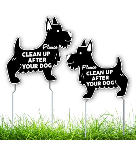 Schild „Clean Up After Your Dog“ Mit Lustigem Kamera-Hinweis – Wetterfest