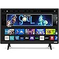 Amazon.com: VIZIO D-Series 24” Class LED HDTV Smart TV - D24f-G9 ...