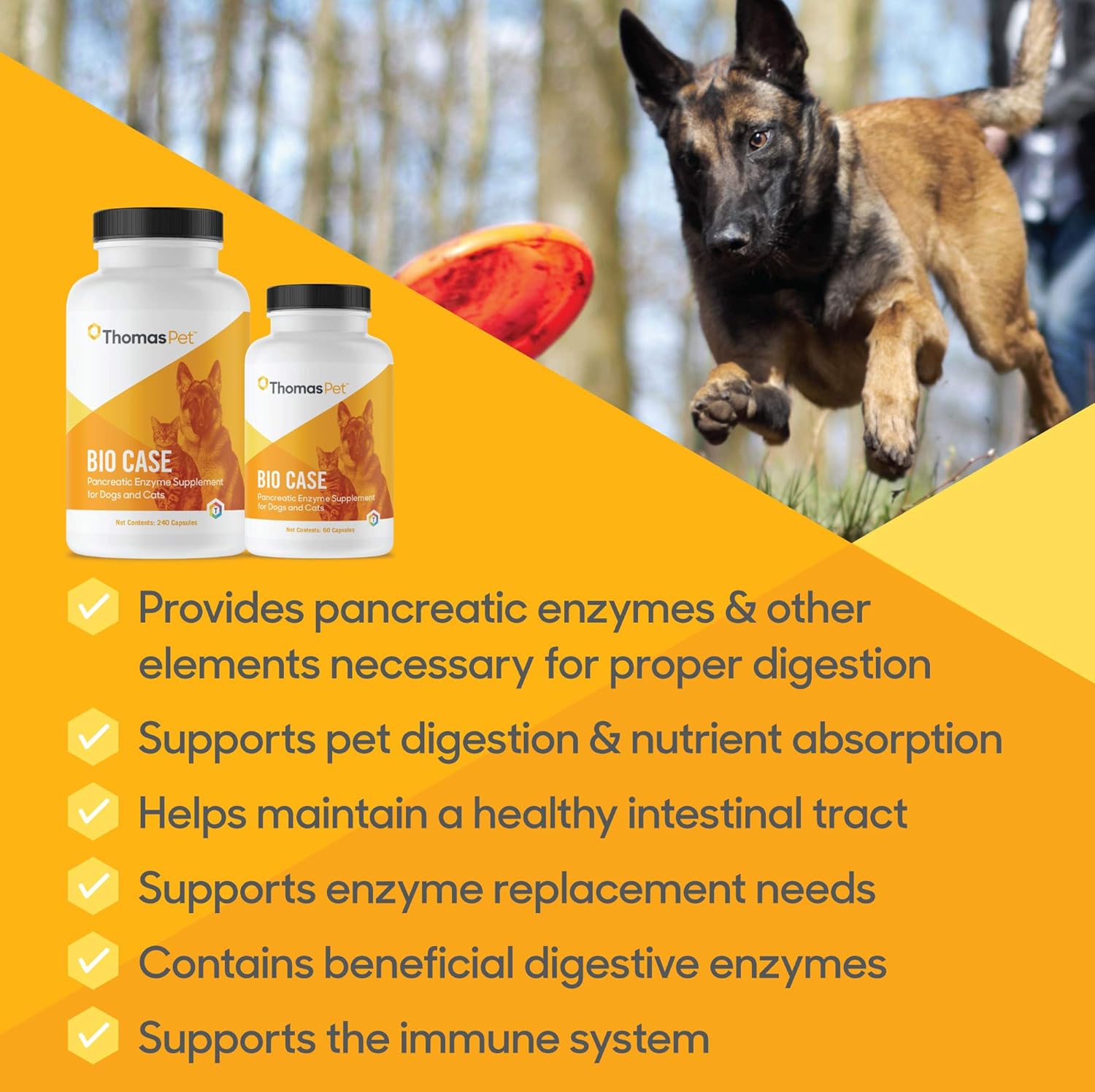 pancreatic enzymes for cats