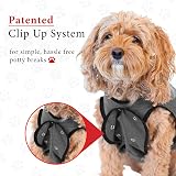 BellyGuard Dog Recovery Onesie Large Grey Cone Alternative After Surgery view 6