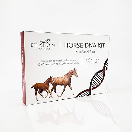 Etalon Diagnostics Horse Dna Test Genetic Testing Kit 55 Traits To Identify Equine Dna Test