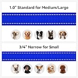 Joytale Padded Handle Dog Lead Double-Sided Reflective Navy 1.2m 2cm view 6