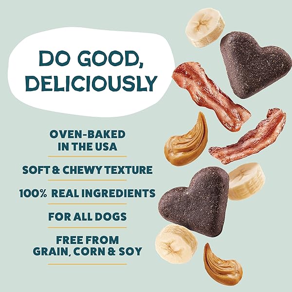 SHAMELESS PETS SOFT-BAKED DOG TREATS, BANANAS FOR BACON – NATURAL & HEALTHY DOG CHEWS FOR SKIN & COAT SUPPORT WITH OMEGA 3 & 6 – BISCUITS BAKED & MADE IN USA, FREE FROM GRAIN, CORN & SOY – 1-PACK
