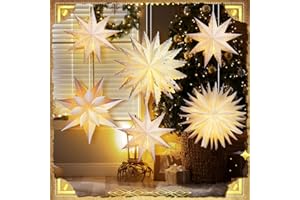 Watersay 6 Pack Christmas Snowflake Paper Lantern Xmas Star Paper Lanterns with 6 LED Light White Hanging Lamp Ornaments for Christmas Winter Weddings Birthday Holiday Party Decoration(Classic Style)