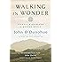 Walking in Wonder: Eternal Wisdom for a Modern World