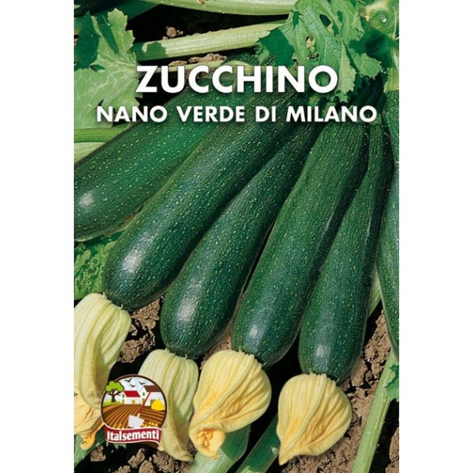 Italsementi Green courgette from Milan