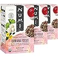Numi Organic Damiana Focus Tea with Gingko, Lion's Mane & Hibiscus (Pack of 3), 16 Count Herbal Tea Bags