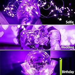 SunKite 16 Packs 20 LED Purple Fairy String Lights