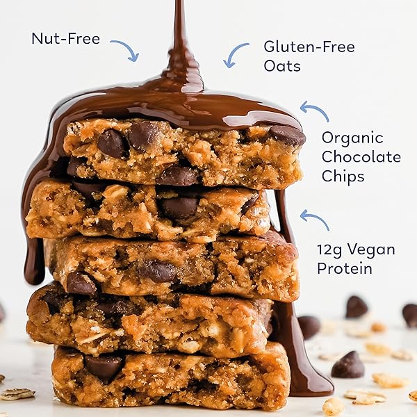 GOMACRO MACROBAR ORGANIC VEGAN PROTEIN BARS – OATMEAL CHOCOLATE CHIP (2.3 OUNCE BARS, 12 COUNT)