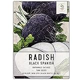 Seed Needs, Black Spanish Radish Seeds - 500