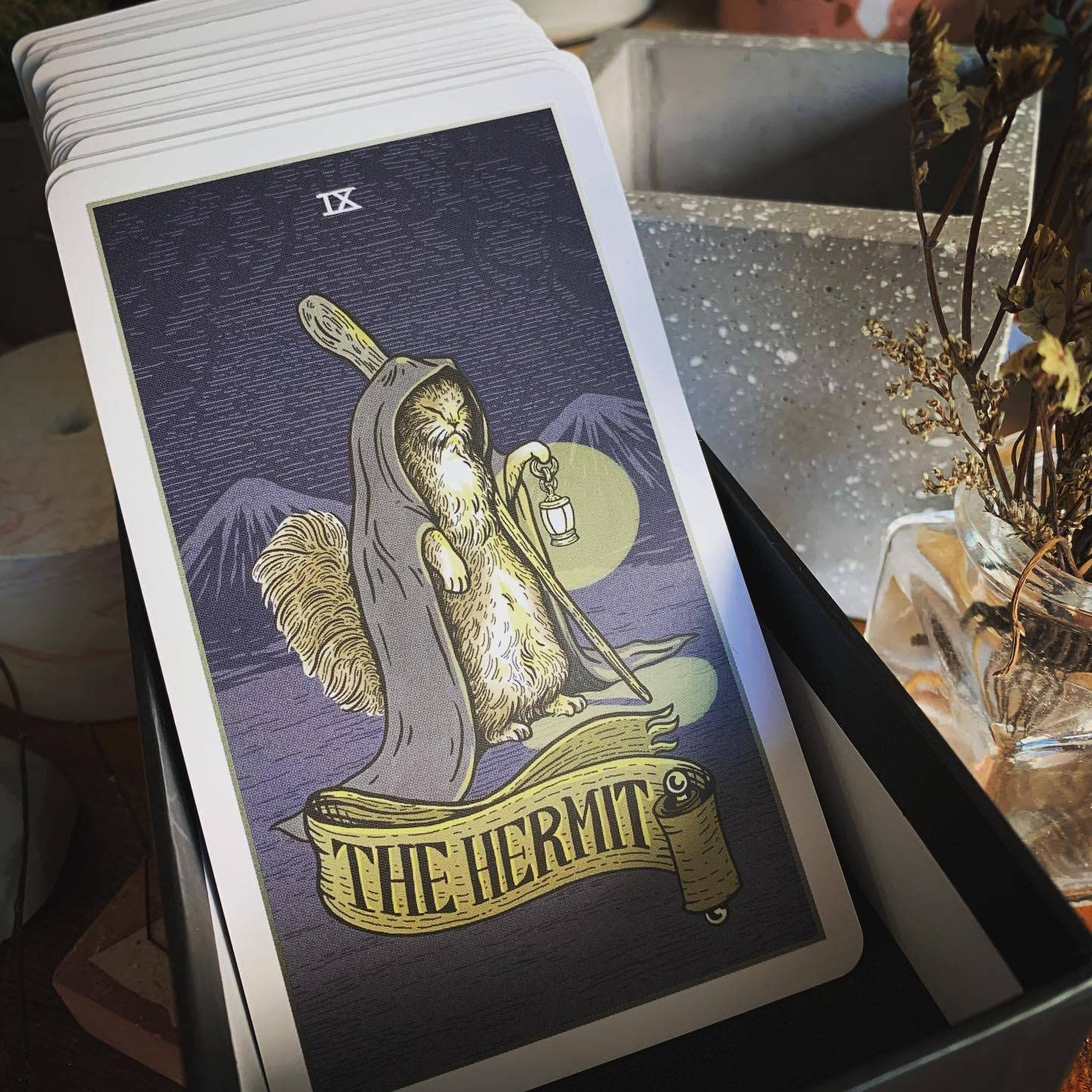 Atesswy Stray Cat Tarot - A Powerful and Cute Tarot Deck for Cat Lovers, Standard Size: 4.75