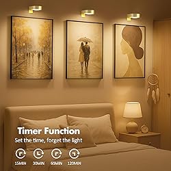 3Pcs Battery Operated Picture Light, Magnetic Led
