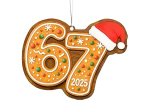 LINHARA 67 Christmas Ornament 2025 – Funny 67 Gingerbread Ornament, 67 Meme Christmas Tree Decorations, Santa Says Six Seven, 67 Ornaments, Funny Gifts for Teens Kids Adults, Cool 67 Stuff for Christmas Tree