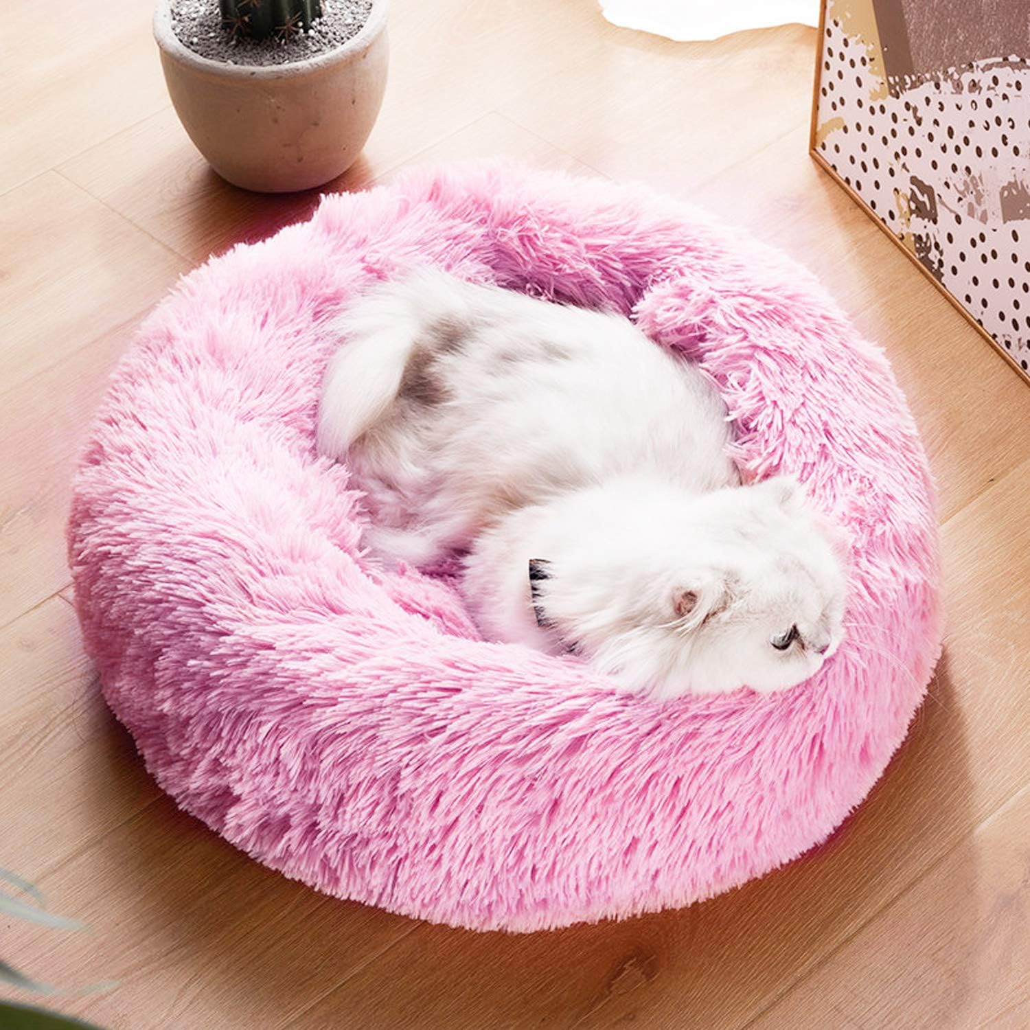 amazon marshmallow cat bed
