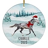 Santa Hat and Scarf Welcome Winter Dapple Gray