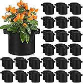 Nuanchu 60 Packs Grow Bags Bulk Aeration Fabric Pot with Handles Thickened Nonwoven Garden Bags to Healthy Root Growth Vegetables Heavy Duty Grow Pots Planting Planter for Flower Fruits (2 Gallon)