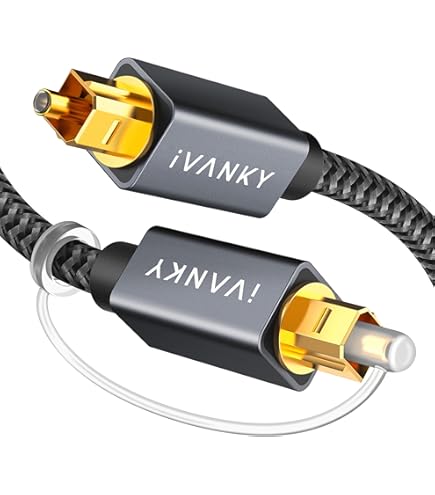 Amazon.com: NTQinParts Replacement 6FT Digital Optical Audio