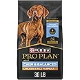 Purina Pro Plan Calm & Balanced Dry Dog Food, Adult Dog Calming DHA Chicken & Rice Formula - 30 lb. Bag