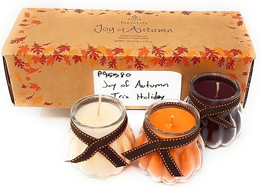 Amazon Com Partylite Fall Autumn Joy Of Autumn Trio Holiday 2014
