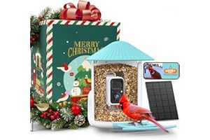 NETVUE by Birdfy Smart Bird Feeder with Camera Solar Power, Smart AI Birdwatching Camera, Auto Capture & Notify, Clear Day & Color Night Video & Pictures, Ideal Gift for Lover