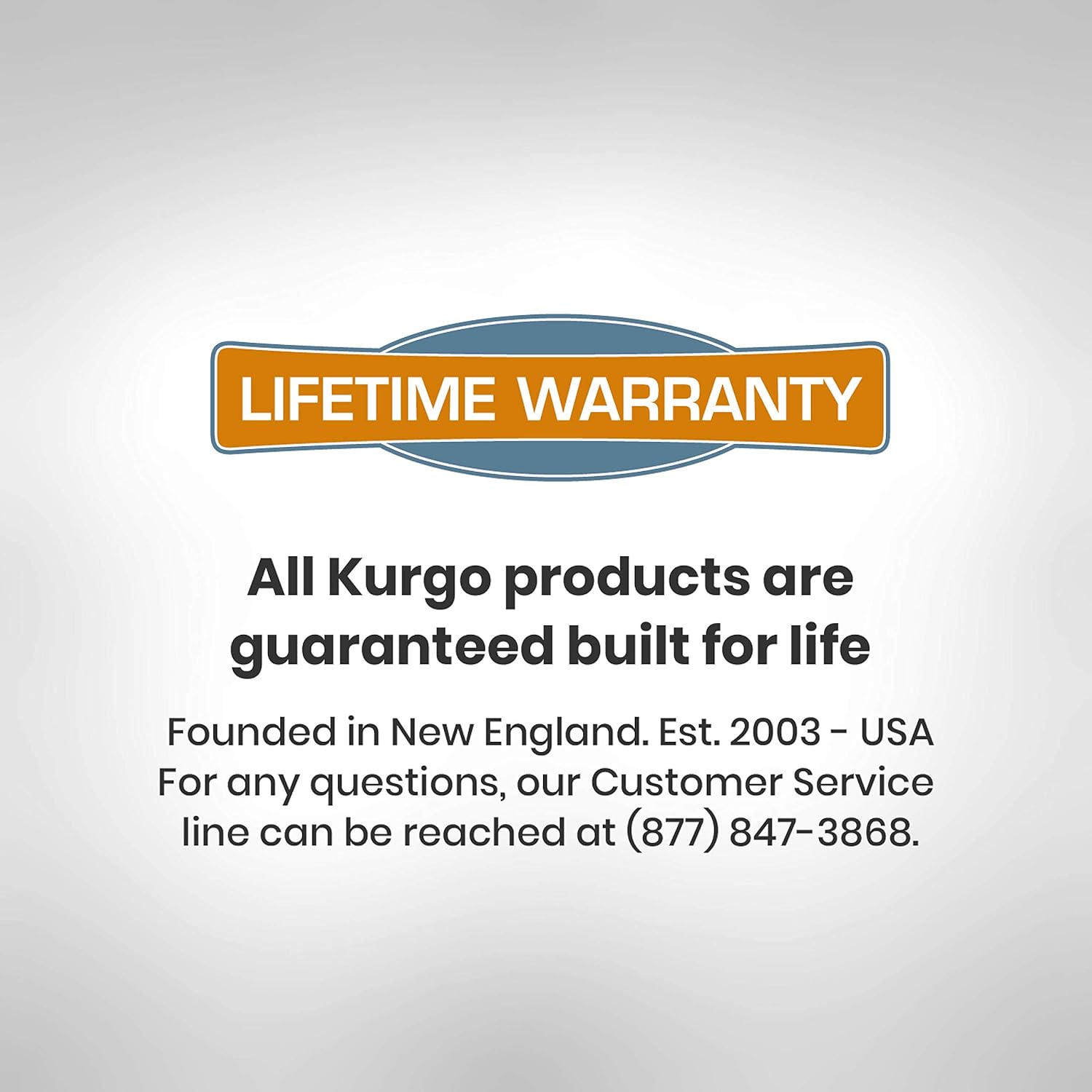 Kurgo Rover Booster Dog Car Seat with Seat Belt Tether : Automotive Pet Booster Seats : Pet Supplies