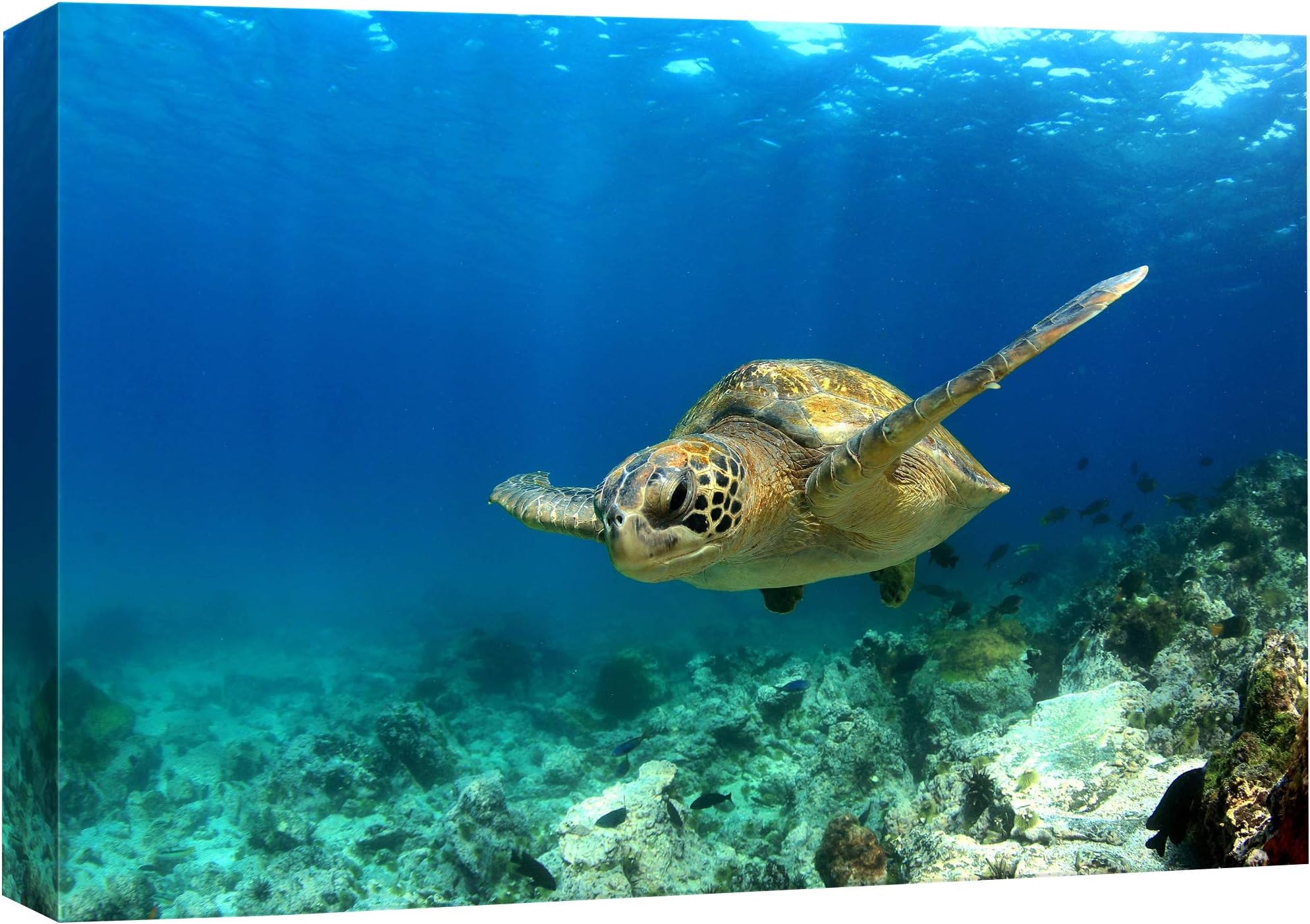 wall26 Canvas Print Wall Art Sea Turtle Gliding Through Sea Nature Ocean Photography Realism Nautical Scenic Relax/Calm Multicolor Ultra for Living Room, Bedroom, Office - 24"x36"