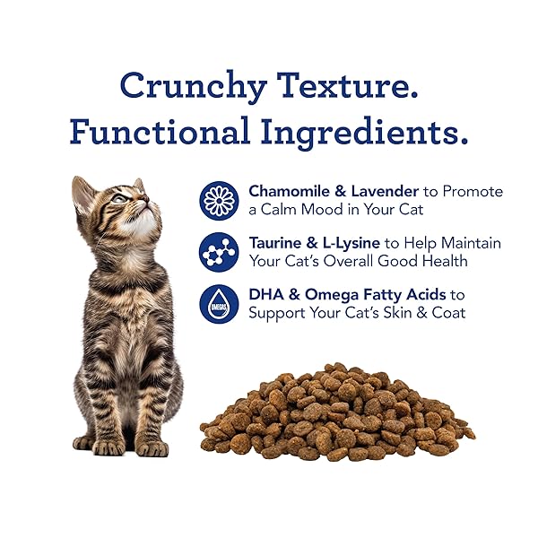 GET NAKED CAT CALMING TREATS SALMON & CHEESE FLAVOR, CRUNCHY, CALMING HEALTH, 6-OZ BAG