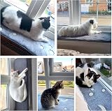 pet prime Cat Window Bed Mat 90x28cm Luminous Print Sill Non-Slip Lounger view 8
