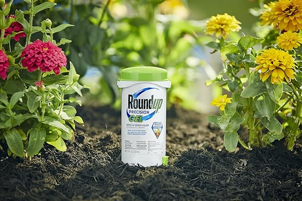 ROUNDUP PRECISION GEL WEED & GRASS KILLER 5 OZ (150ML)