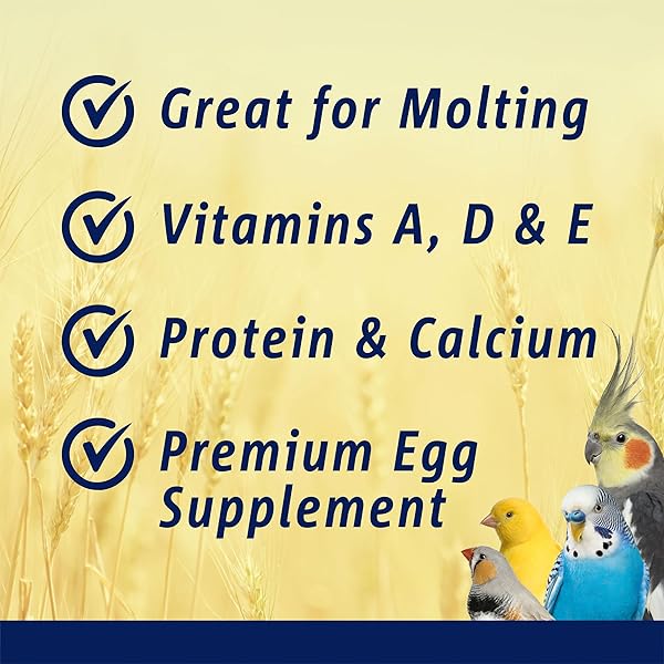 VITAKRAFT VITASMART EGG FOOD FOR BIRDS – DAILY SUPPLEMENT FOR PARROTS, PARAKEETS, COCKATIELS, AND CANARIES – BIRD CALCIUM SUPPLEMENT 1.1 POUND (PACK OF 1)