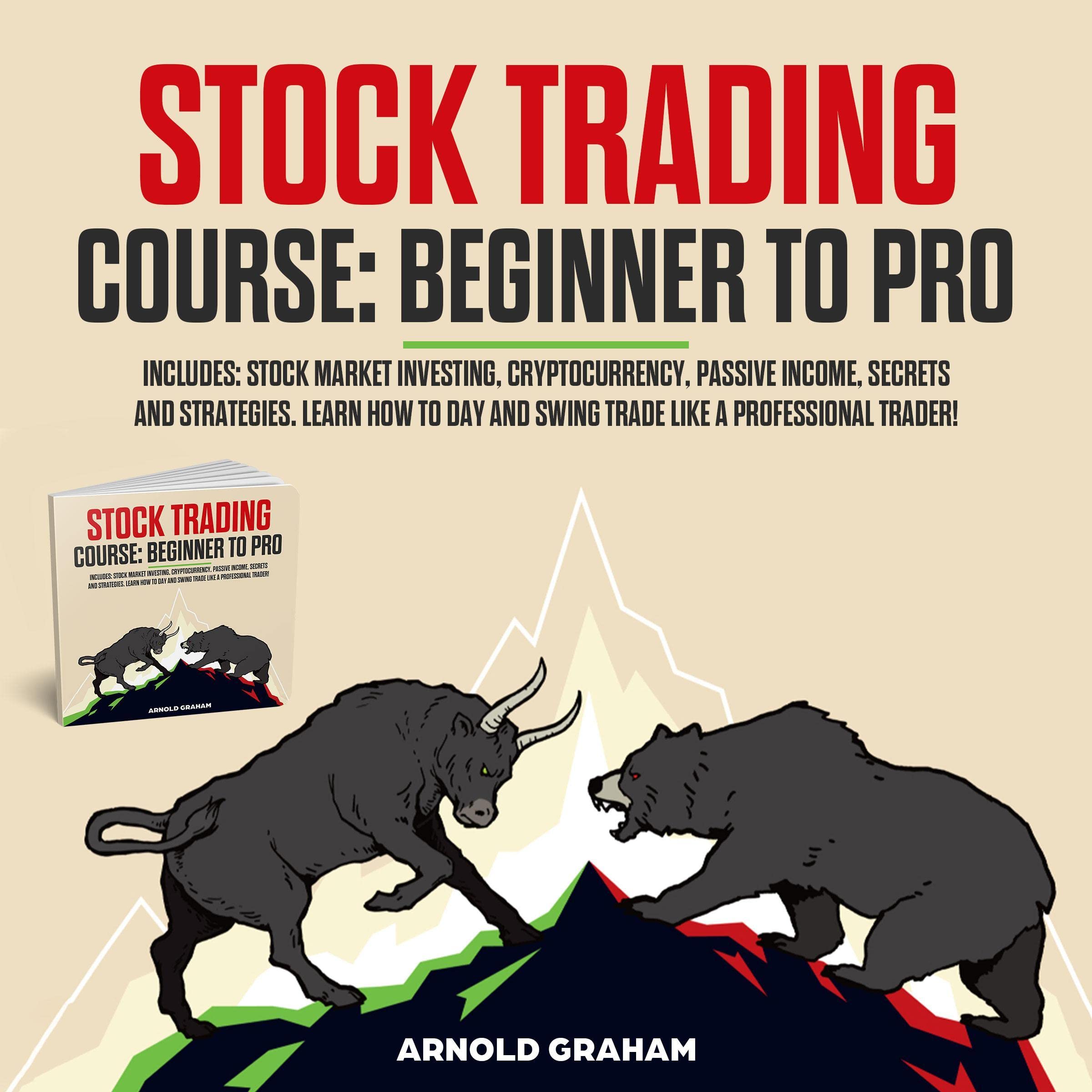 Stock Trading Course: Beginner to Pro: Includes: Stock Market Investing,  Cryptocurrency, Passive Income, Secrets and Strategies. Learn How to Day  and Swing Trade Like a Professional Trader! in Oman | Whizz Stocks