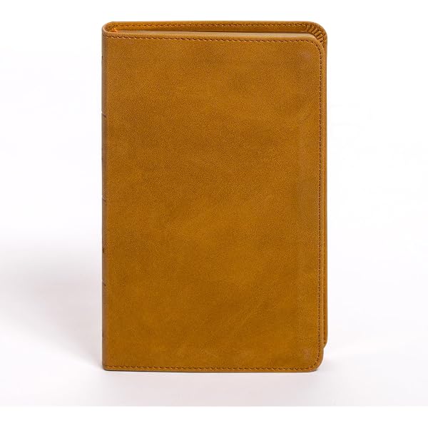 CSB Single-Column Personal Size Bible, Tan/Black LeatherTouch: CSB