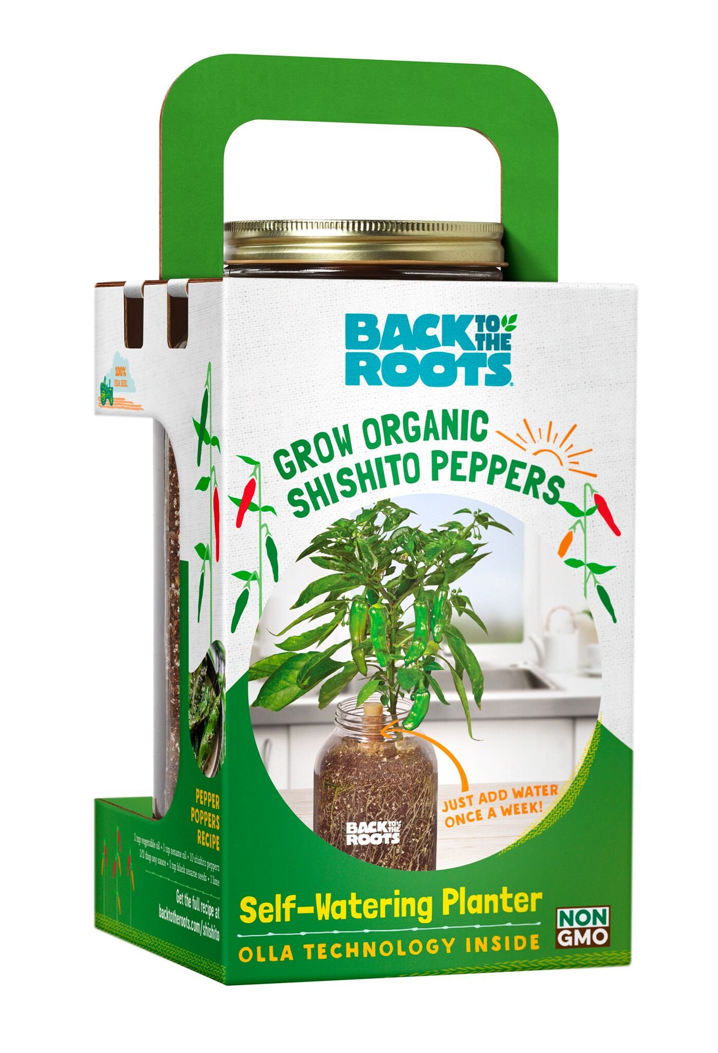 Back to the Roots SelfWatering Shishito Planter, Grow Back to the Roots SelfWatering Shishito Planter, Grow