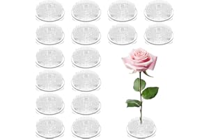 NODAAIIE 16 Pcs Clear Plastic Flower Frog, 2.75 Inch Floral Arrangement Pin Holder with Suction Cups for Vase, Ikebana, Wedding and Home Decoration