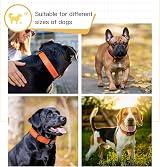 HEELE Reflective Dog Collar Soft Neoprene Padded Nylon Adjustable Small Orange S view 2