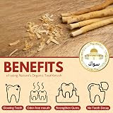 SEWAK Miswak Sticks 10 Pack | Organic Wooden Toothbrush for Teeth Whitening view 3