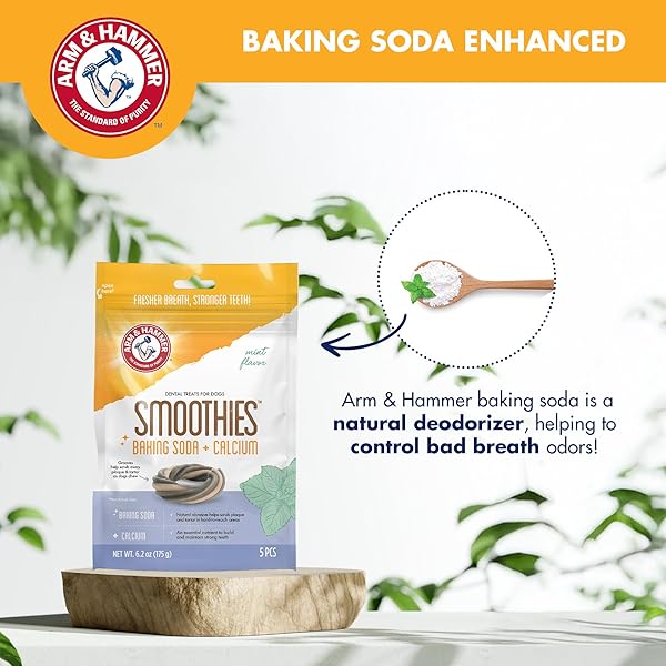 ARM & HAMMER FOR PETS RINGERS DENTAL TREATS FOR DOGS | DENTAL CHEWS FIGHT BAD DOG BREATH, PLAQUE & TARTAR WITHOUT BRUSHING | FRESH MINT FLAVOR, 5 COUNT