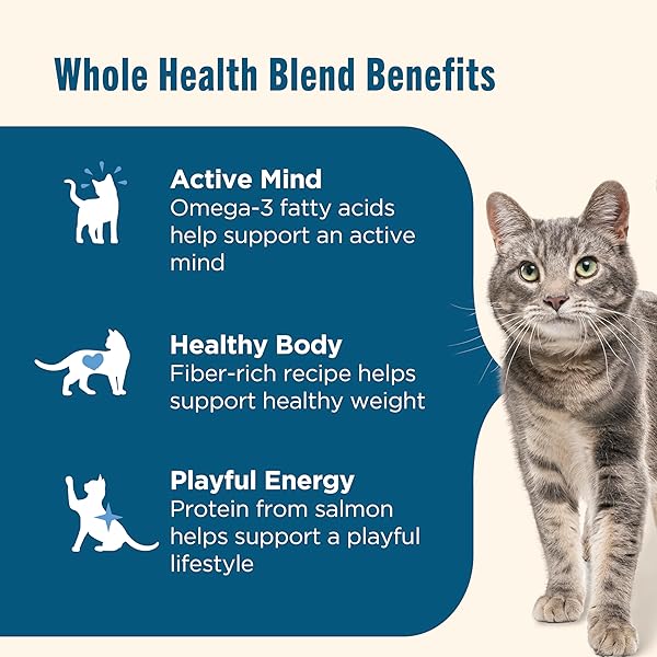 NUTRISH DRY CAT FOOD, REAL SALMON & BROWN RICE RECIPE WHOLE HEALTH BLEND, 3 LB. BAG (RACHAEL RAY)