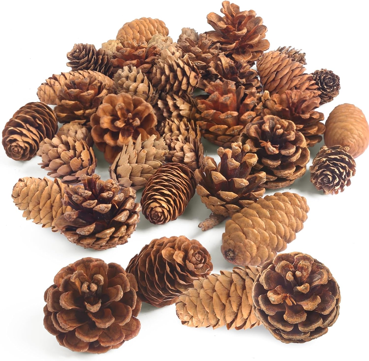 Vase Fillers - DomeStar 40PCS Pine Cones for Craft, Natural Pine Cones Bulk Pine Cone Ornaments for Decorating Thanksgiving Christmas Wreath Table Bowl Decor
