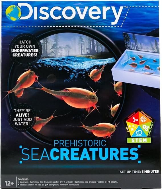 Discovery Kids Prehistoric Sea Creatures By Horizon Group Usa Science Amazon Canada